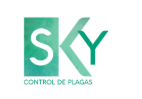Sky Pest Control – Pest Control Company in Valencia